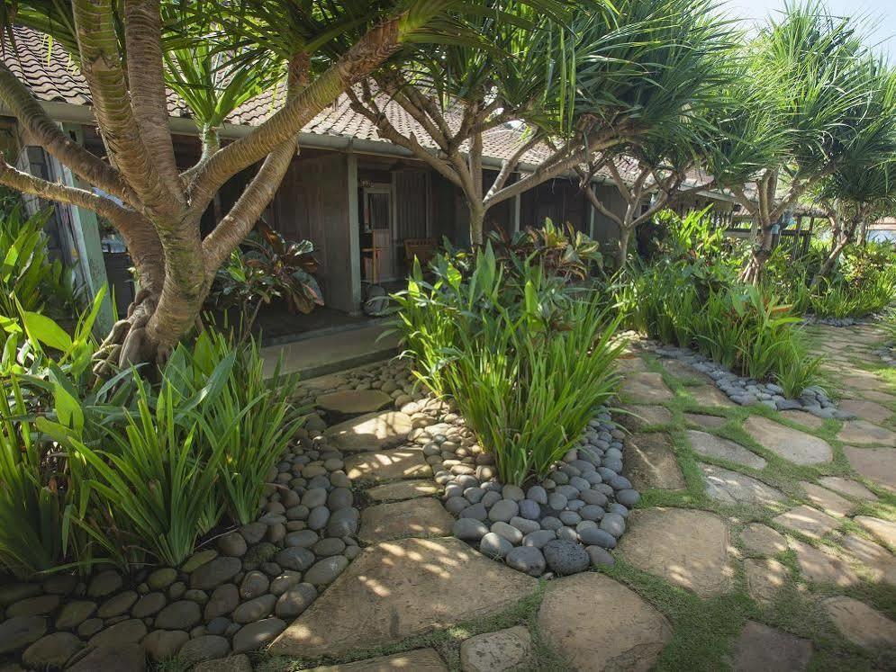 Pondok Pitaya Balian Hotel Selemadeg  외부 사진